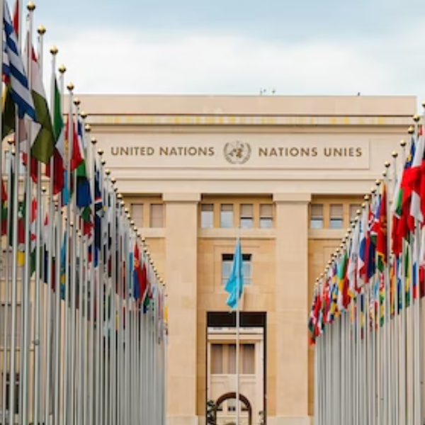 Sede da ONU com bandeiras de países na frente. Declaração Universal dos Direitos Humanos: Guia completo sobre o documento mais traduzido do mundo!
